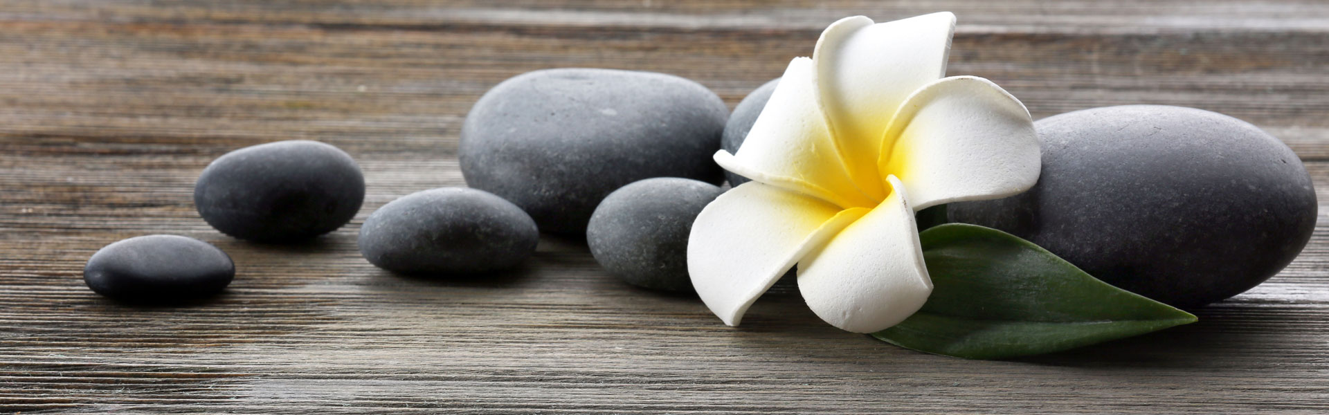 flower-rocks